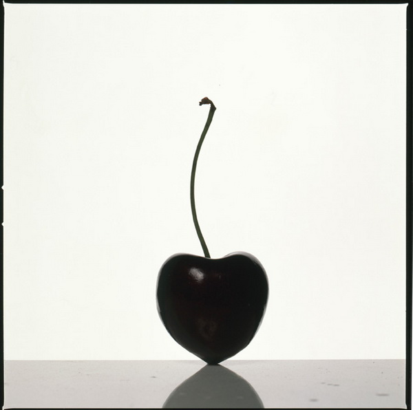 Bloch Laine